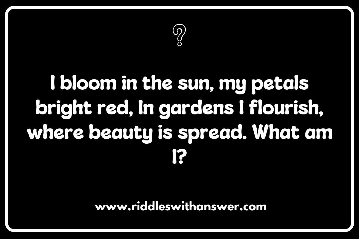 Unraveling Nature: Shades of Red and Blue Riddles Inspired by the Elements