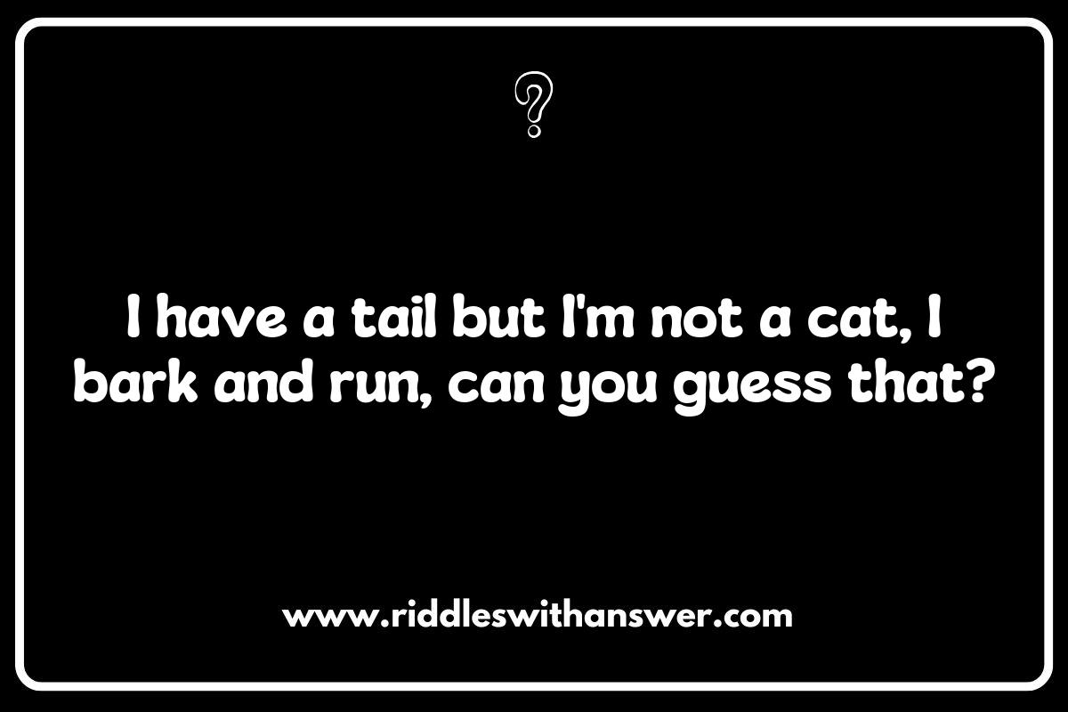 Using Veterinarian Riddles to Promote Animal Welfare Initiatives