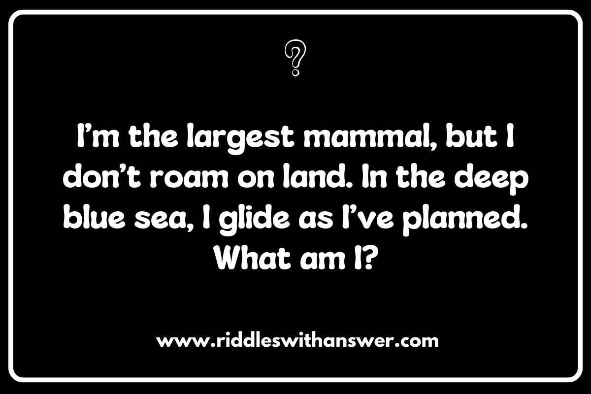 Whale Riddles: Dive Deep into the Ocean of Fun