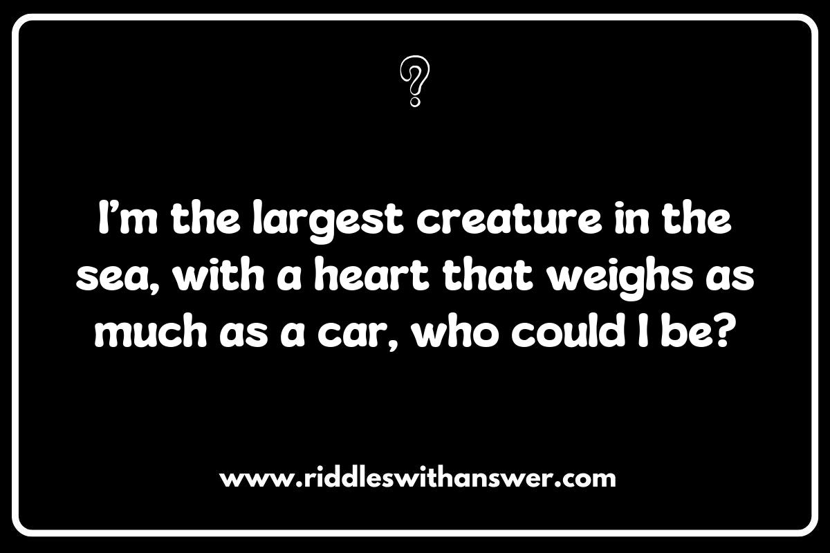 Whale Riddles for Kids: Learning Through Play