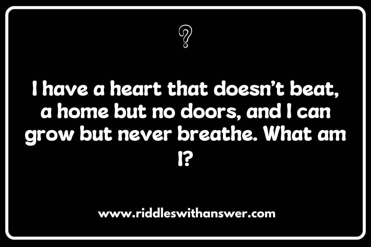 What is It Riddles: The Ultimate Brain Teasers for Your Friends