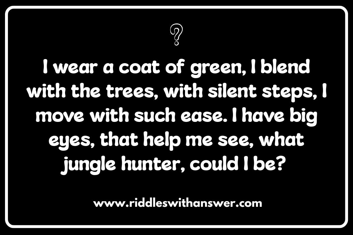 Animal Adventures: Jungle Riddles for Kids