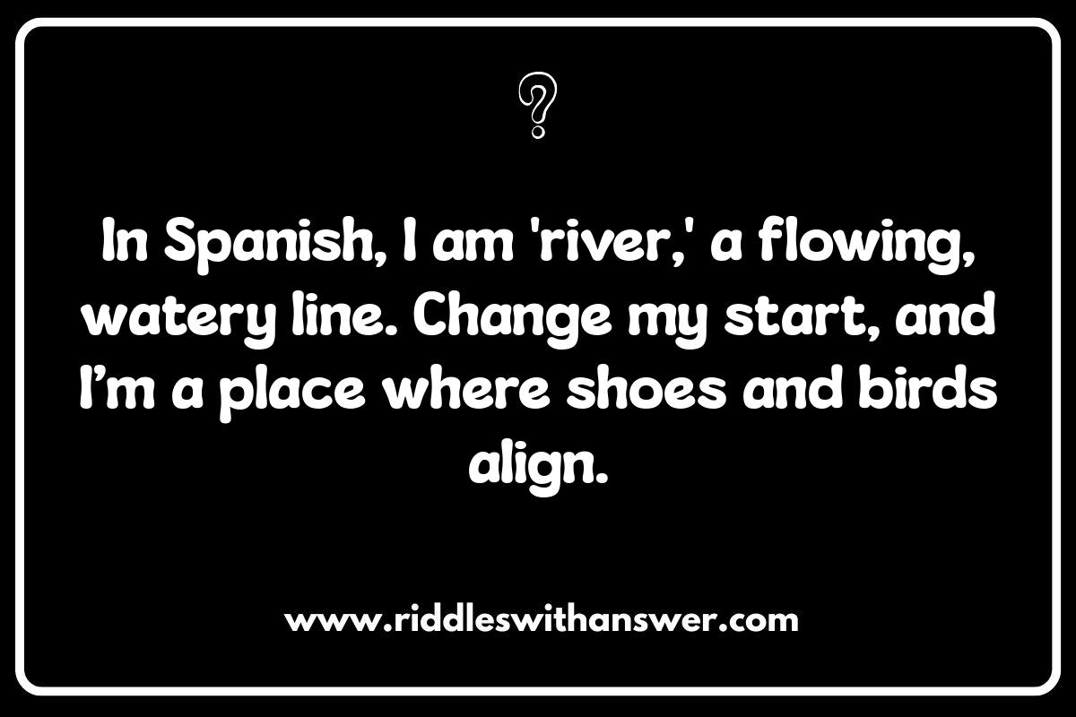 Benefits of Solving Foreign Language Word Riddles