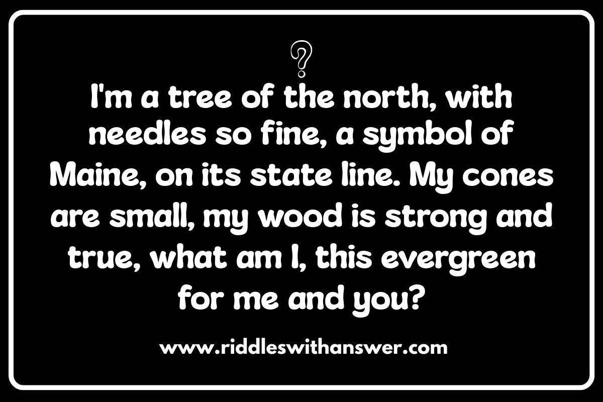Beyond Lobster: Maine Riddles About State Symbols