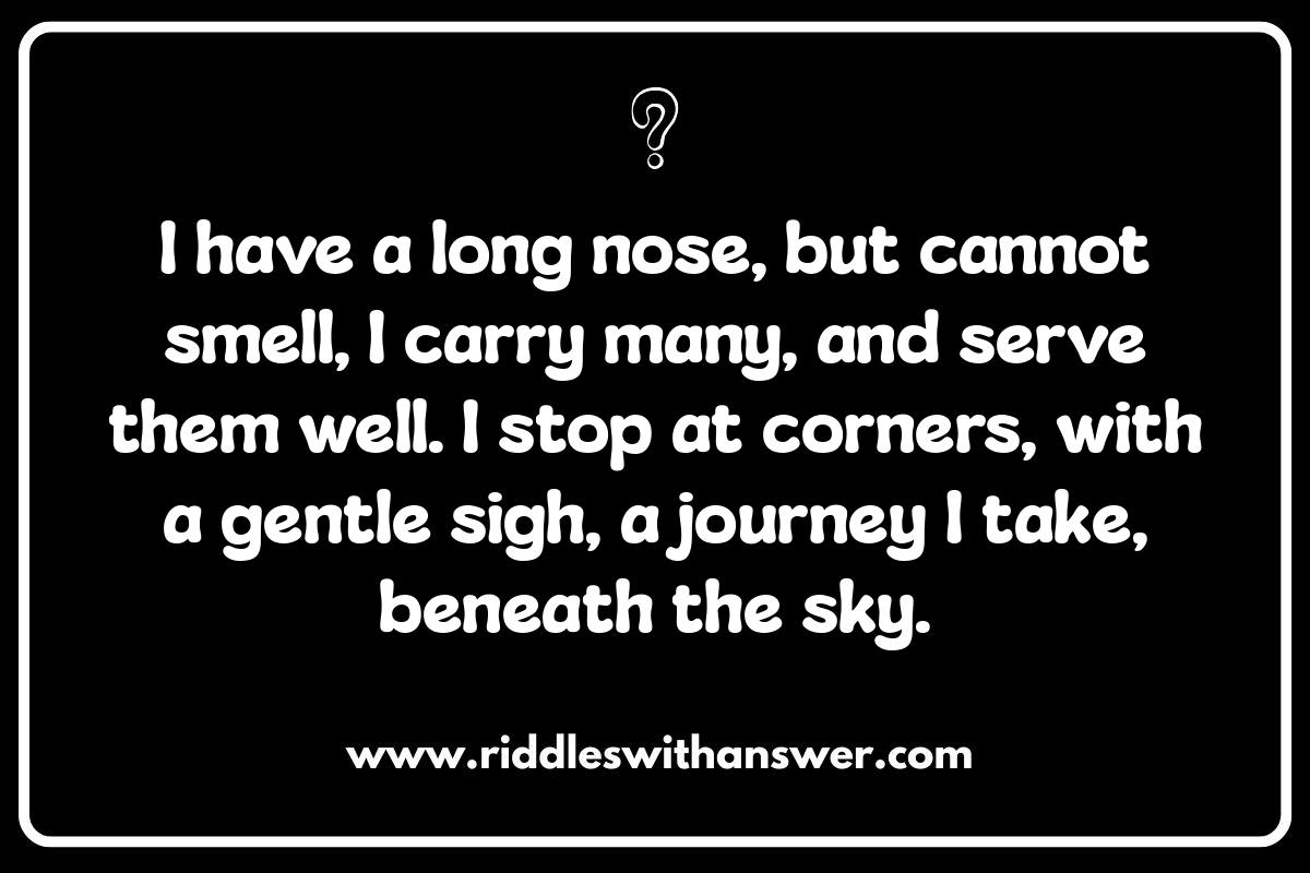 Bus Riddles: Catching a Ride with Enigmas