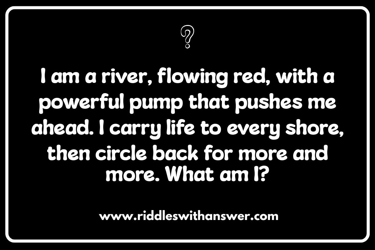 Circulatory System Clues: Anatomy Riddles to Test You
