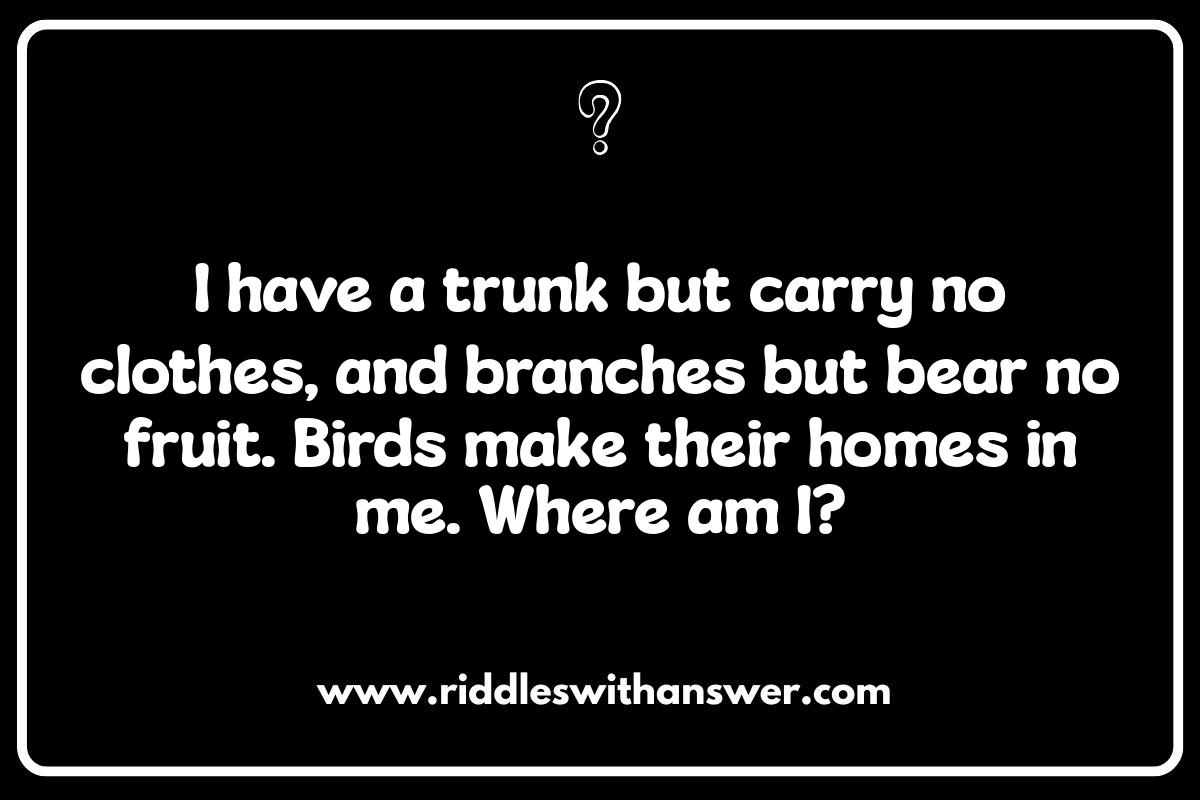 Crafting Clever Where Am I Riddles for Kids