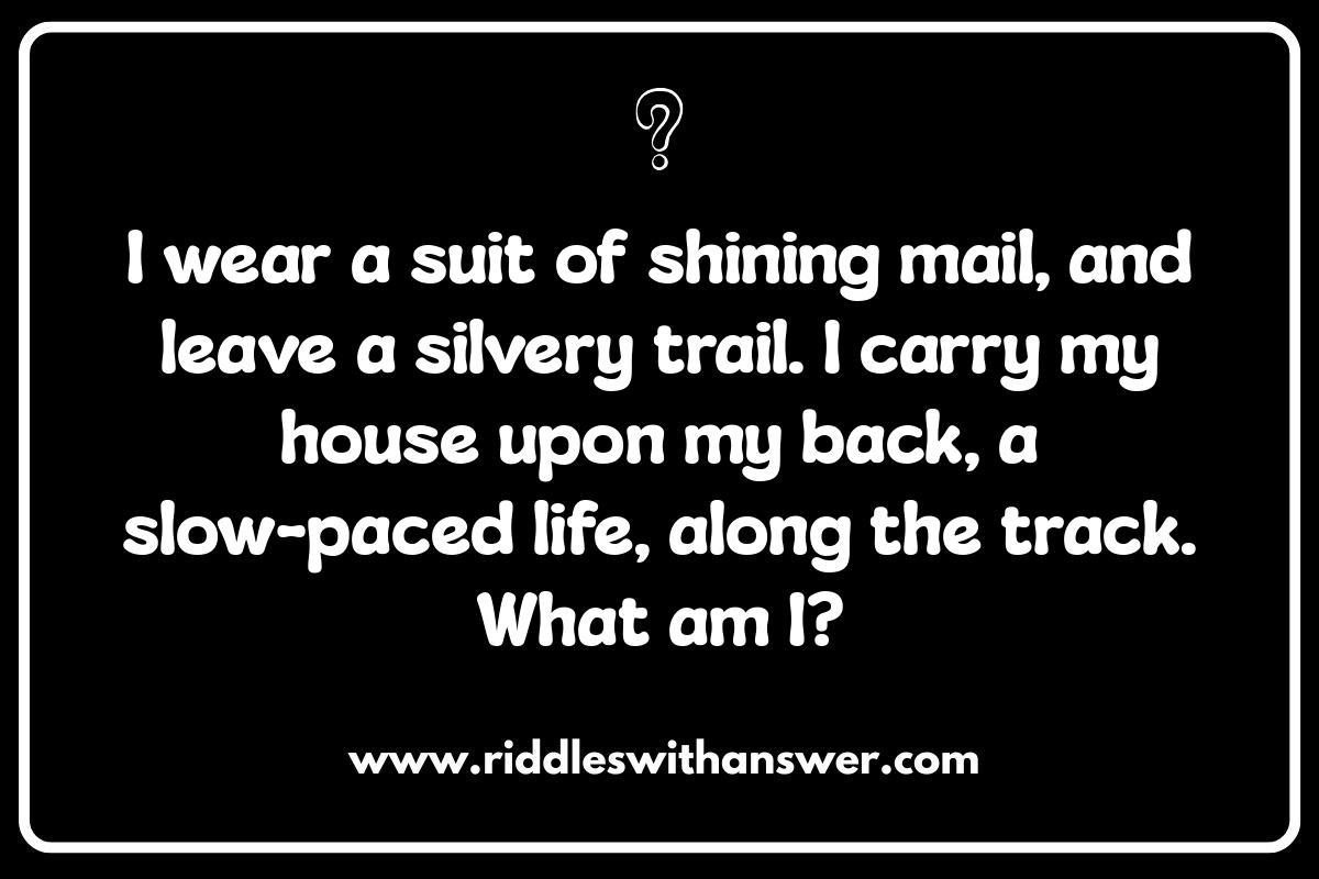 Creative Insect Riddles: Encouraging Imagination