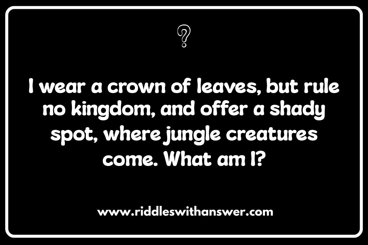 Creative Thinking: Jungle Riddles for Kids