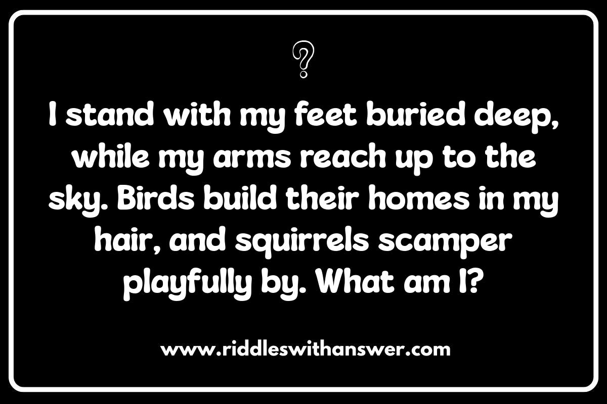 Creative Tree Riddles for Kids: Encouraging Imagination