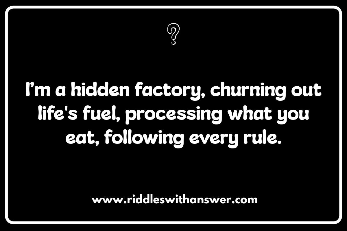 Decoding the Human Body: Anatomical Riddles
