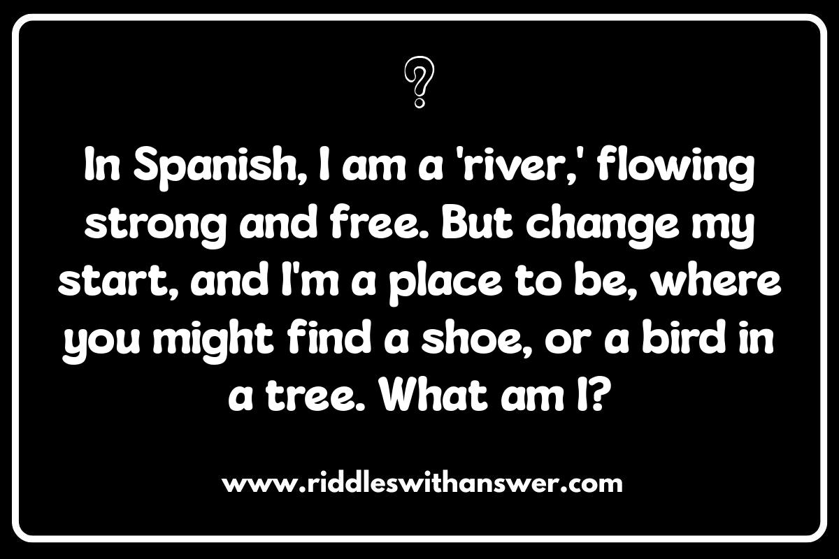 Decoding the Logic Behind Foreign Language Word Riddles