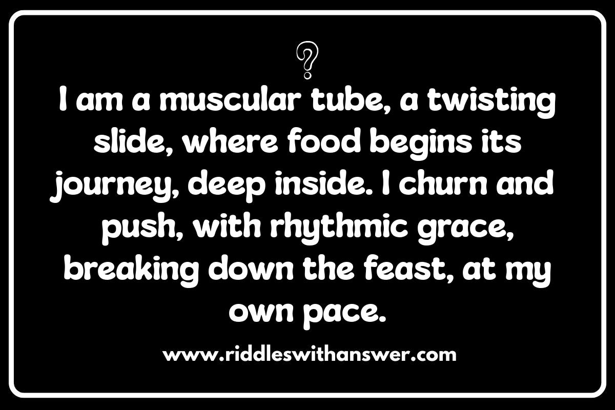Digestive System Dilemmas: Anatomy Riddles on Food