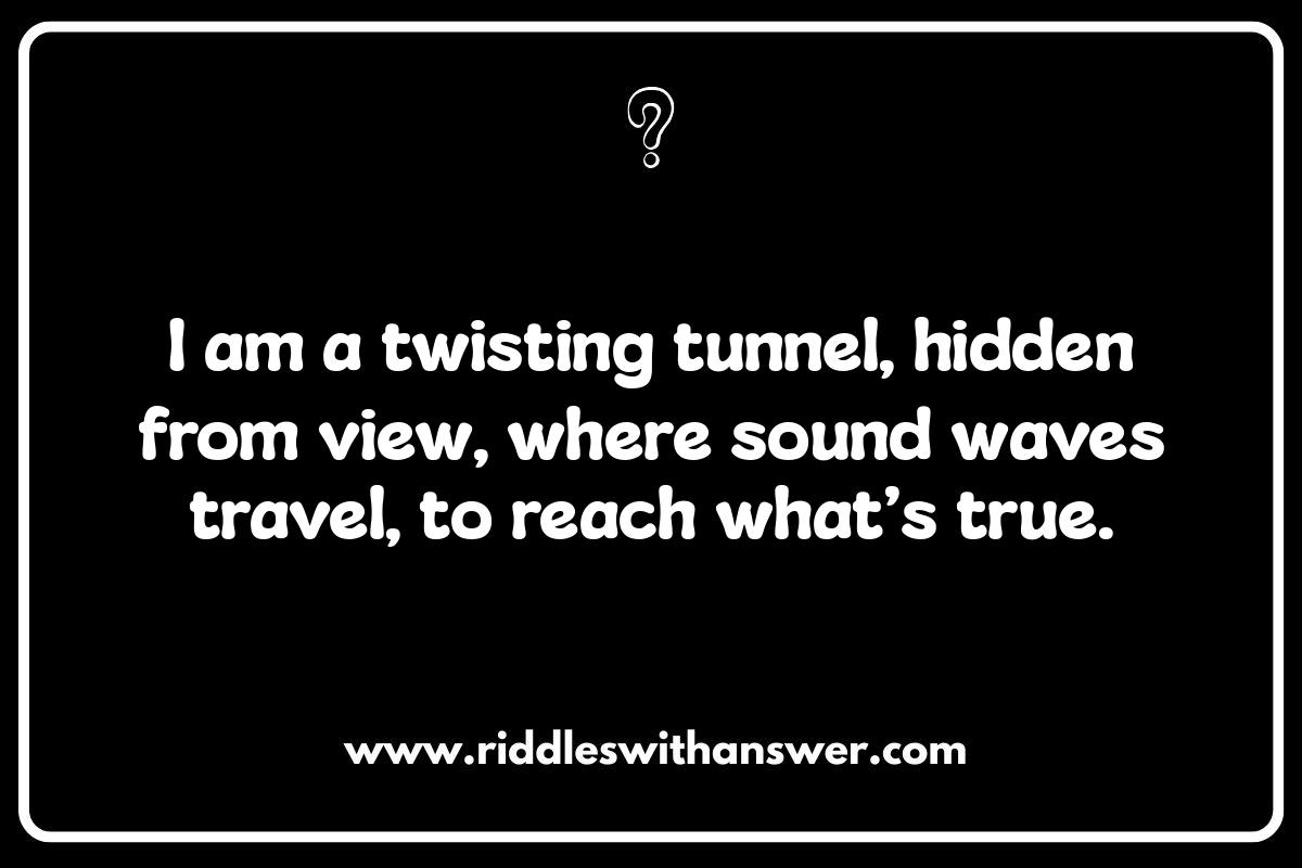 Ear Riddles for Kids: Fun and Educational Puzzles