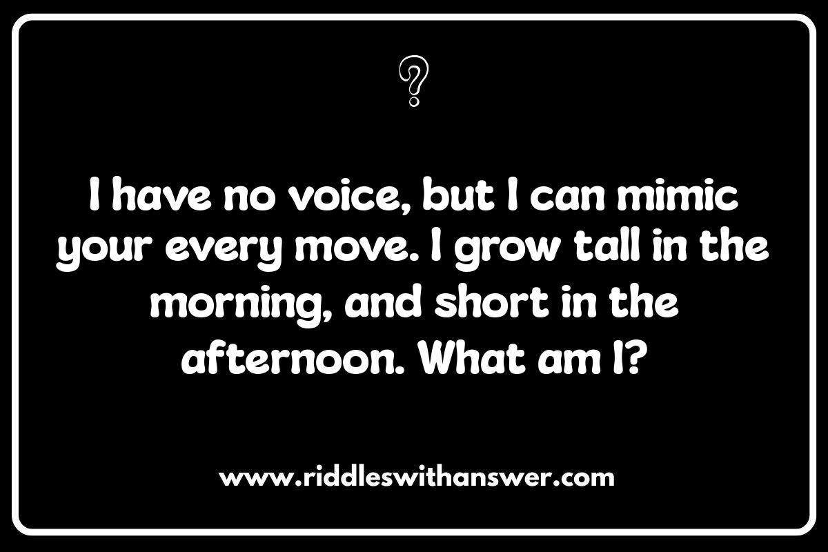 Easy Shadow Riddles for Kids to Solve