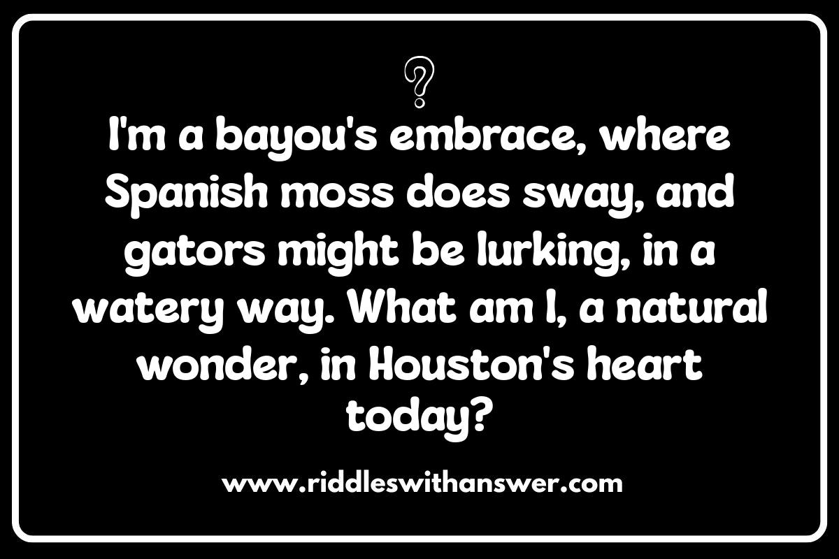 Family Fun with Houston Riddles: Engaging Activities