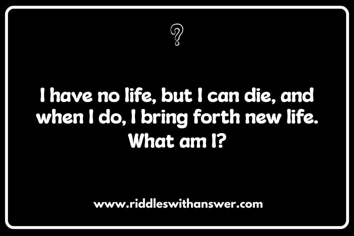 Family Game Night: Short Riddles for All Ages