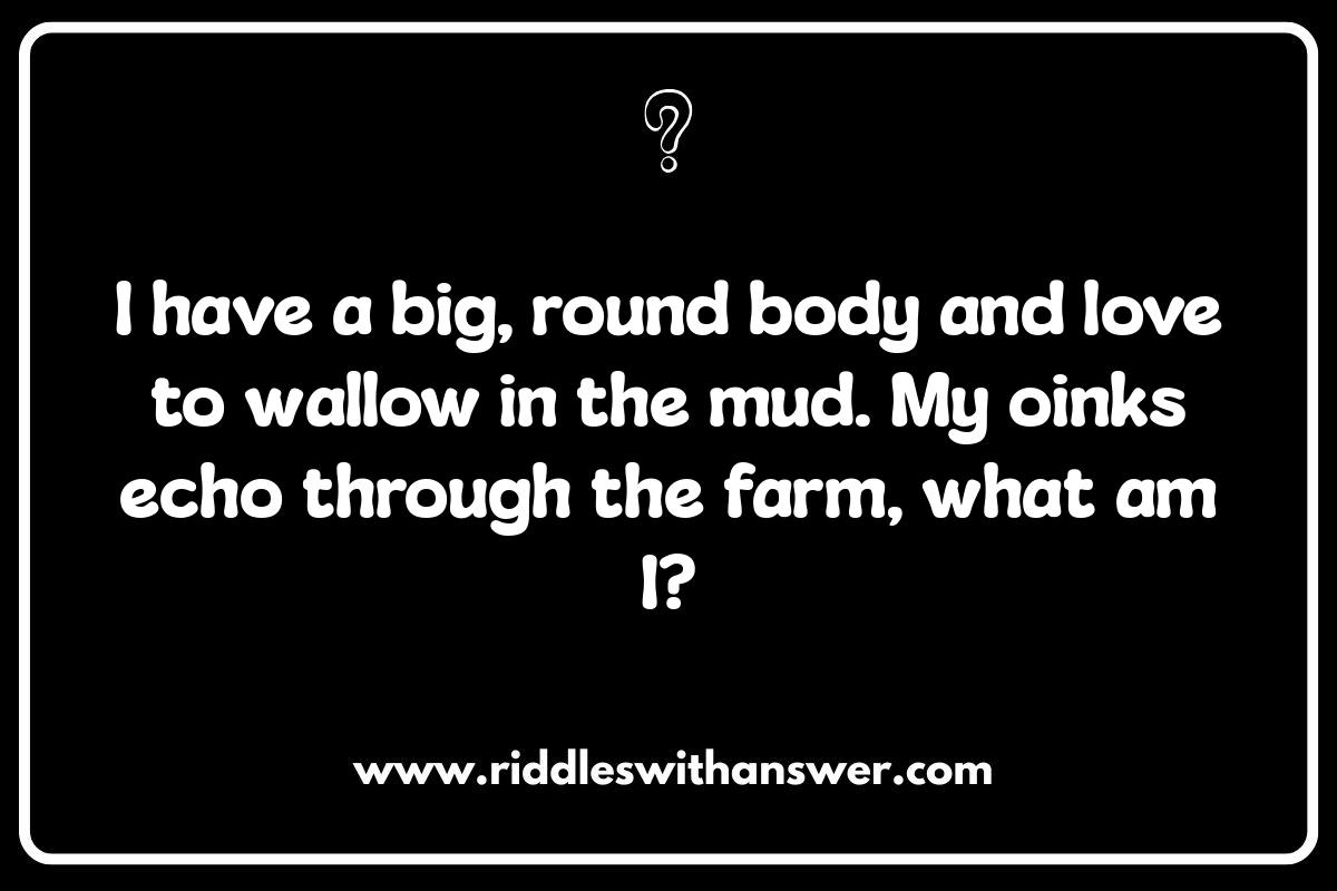 Farm Riddles for Kids: Barnyard Brain Teasers