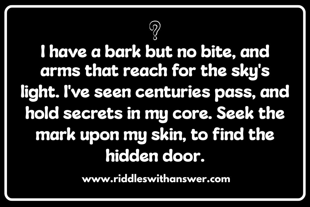 Forest Riddles as Storytelling Tools