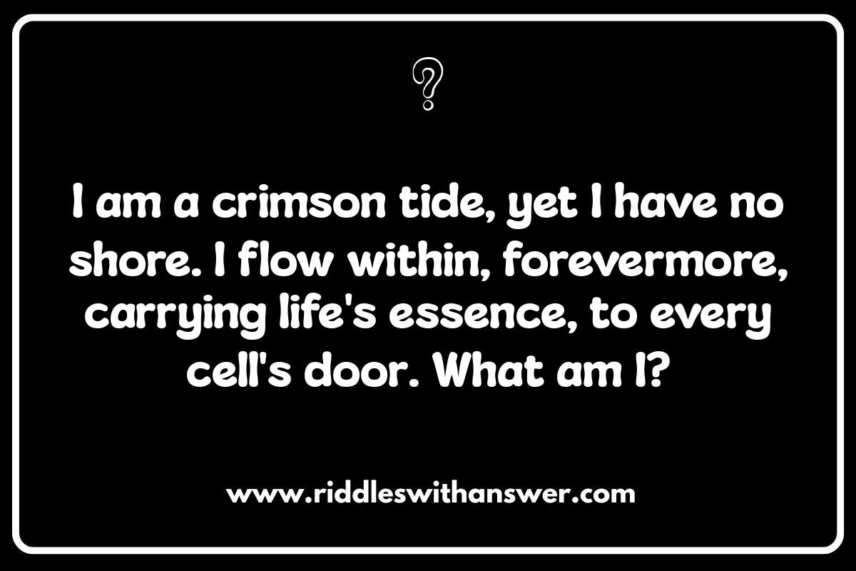 Heart and Blood Riddles: The Mysteries of Red Blood Cells