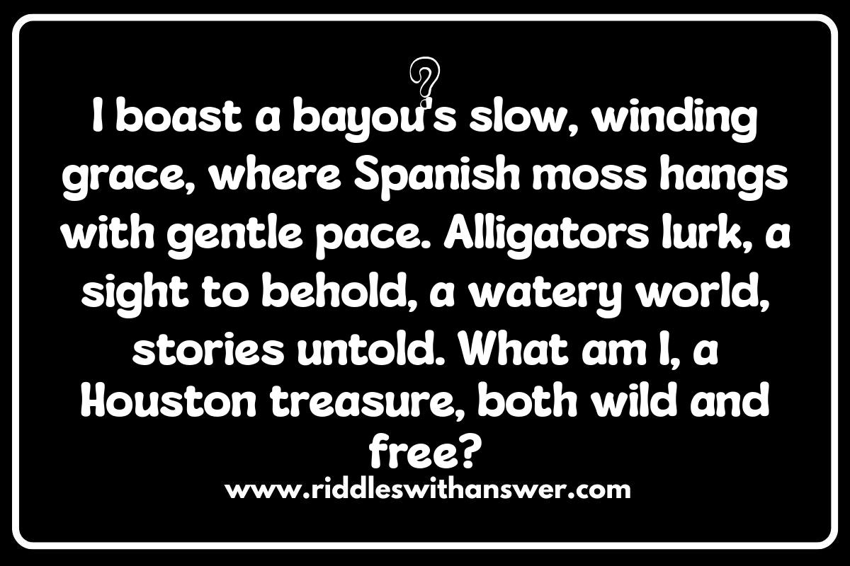 Houston Riddles: A Texan Twist on Brain Teasers