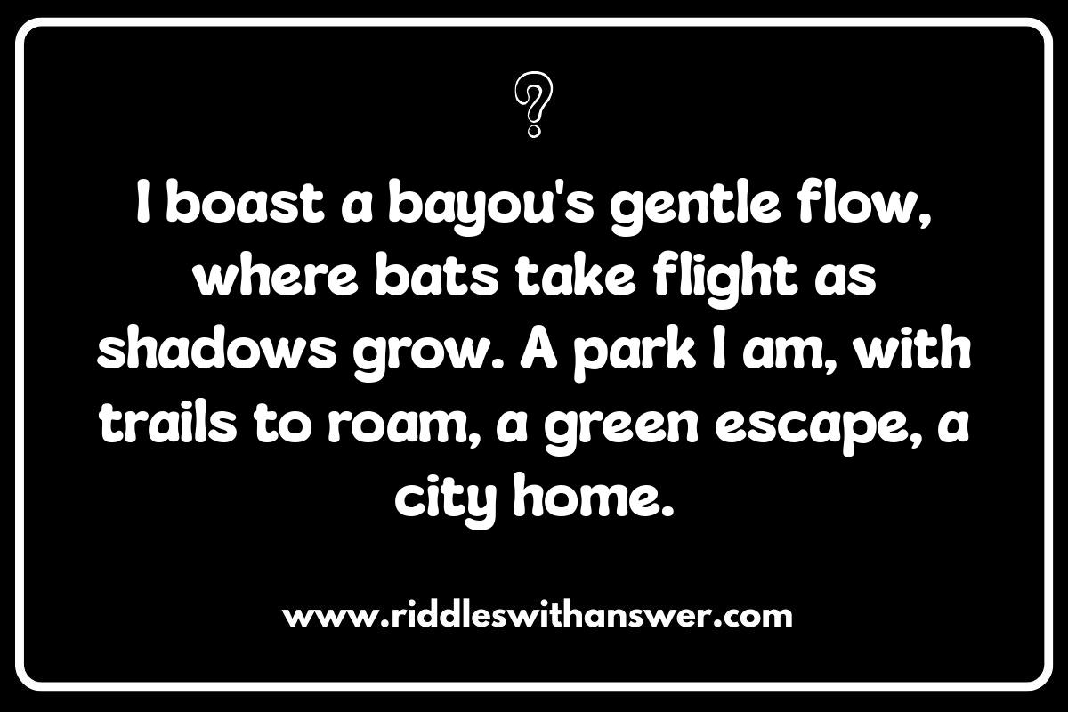 Houston Riddles: Exploring the City