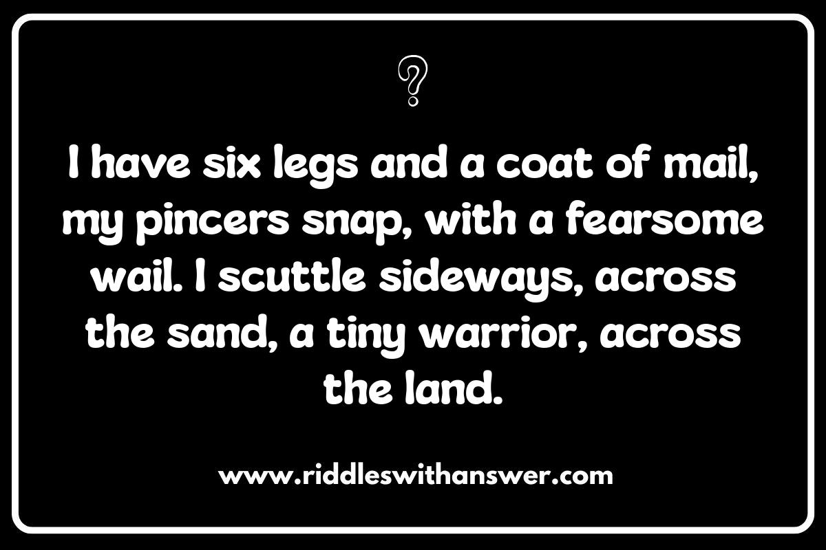 Insect Riddles with Answers: Educational and Engaging