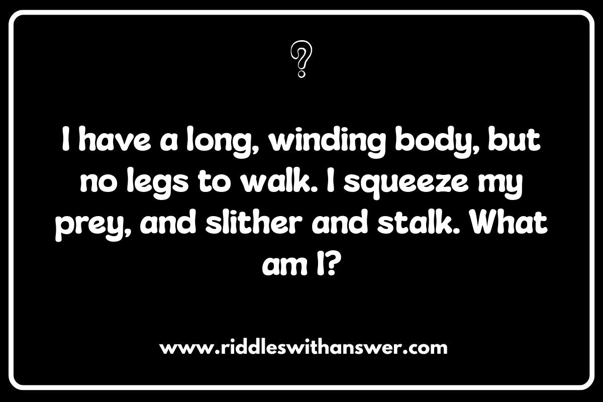 Jungle Riddles for Kids: Easy to Challenging