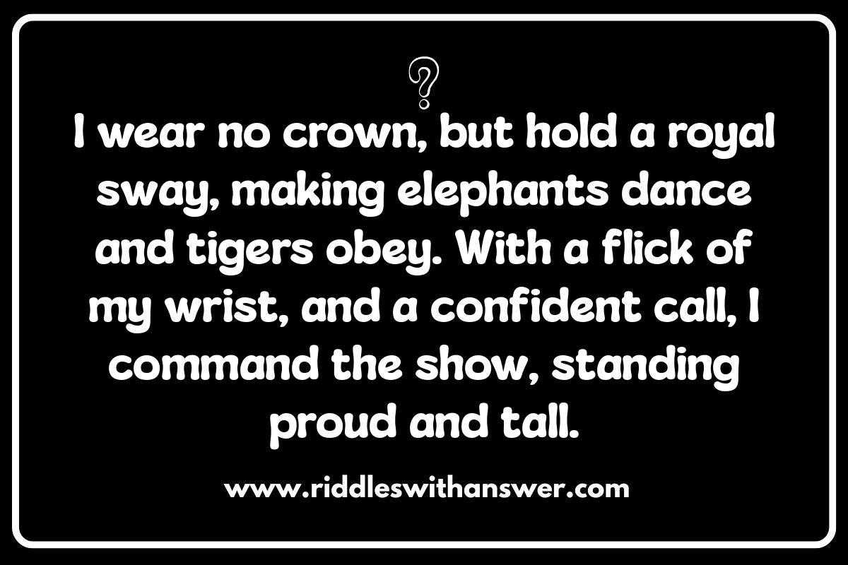 Magical Moments: Circus Riddles with Illusions