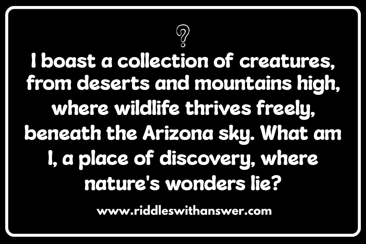 Mesa Riddles in Culture: Folklore and Storytelling