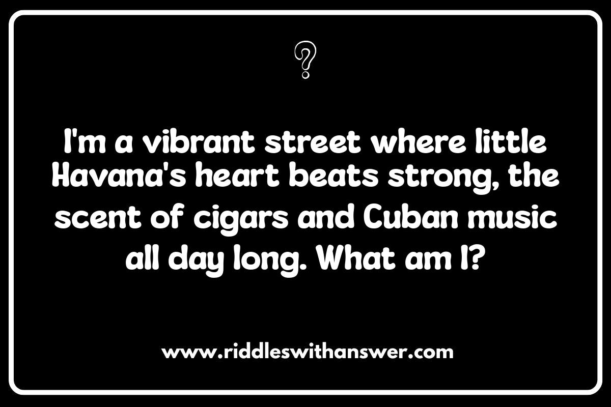 Miami Riddles: Unveiling the City