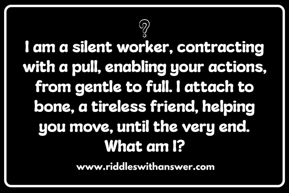 Muscle Riddles: Unlocking the Secrets of Movement