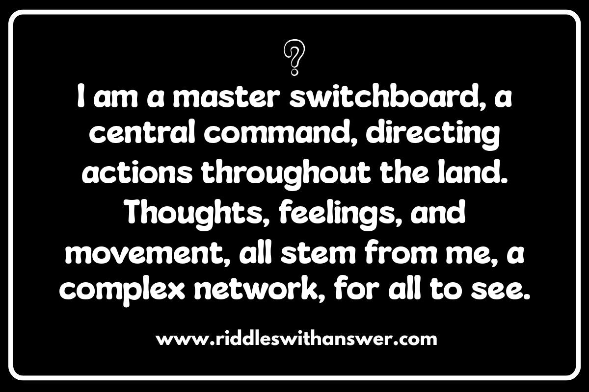 Nervous System Networks: Anatomy Riddles for the Brain