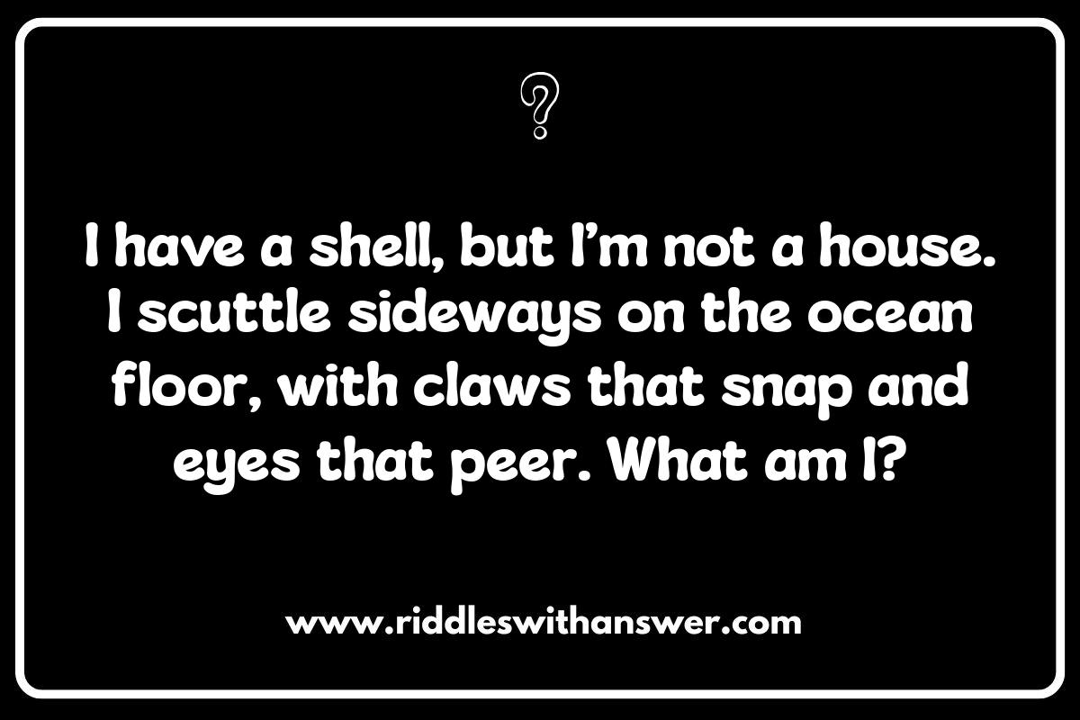 Ocean Animal Riddles: Can You Guess Who?