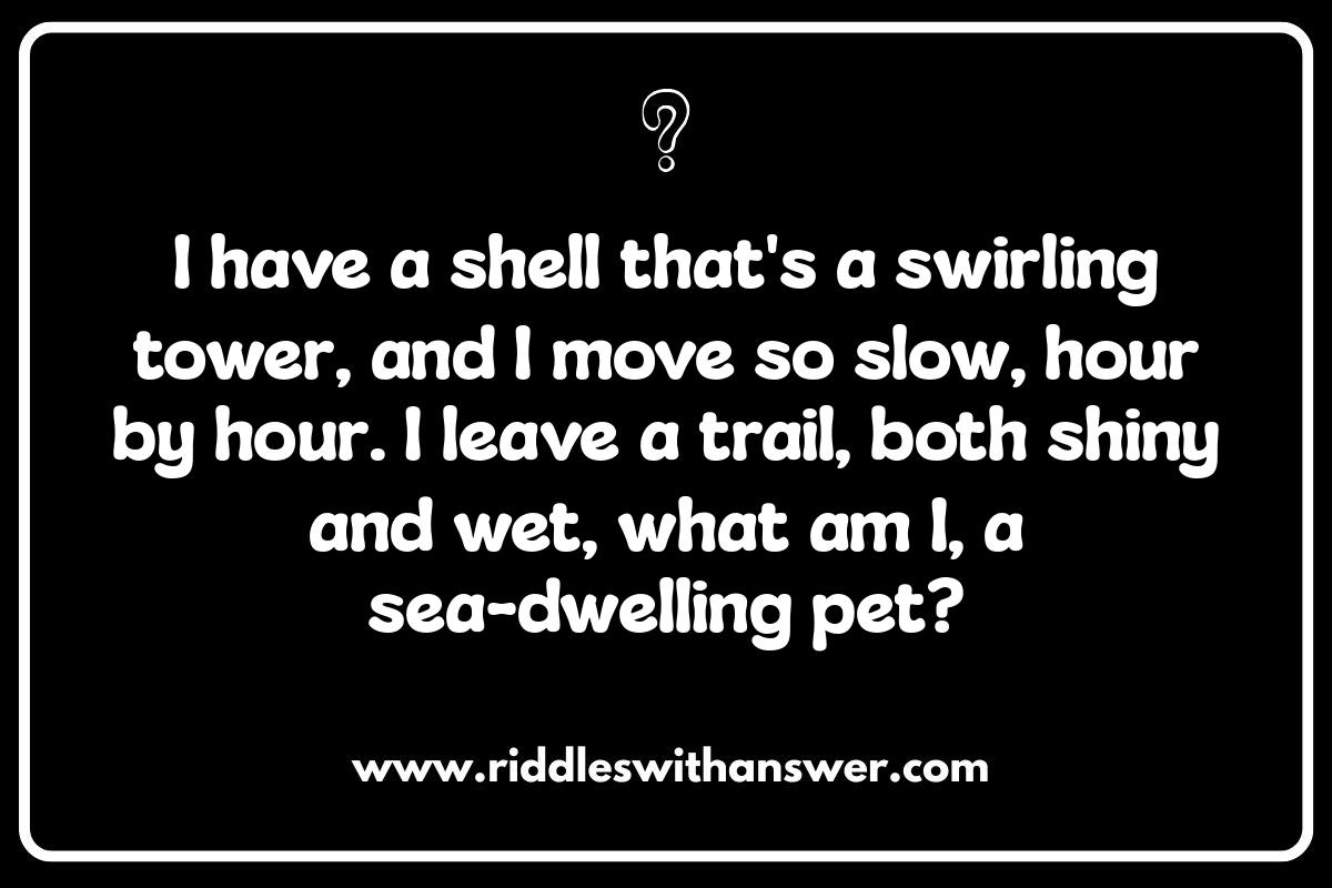 Ocean Life Riddles: Test Your Marine Biology Knowledge