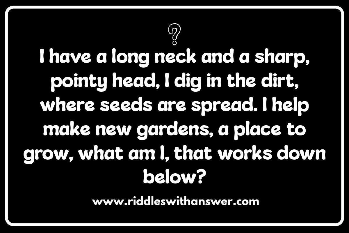 Outdoor Tool Riddles for Kids: Nature