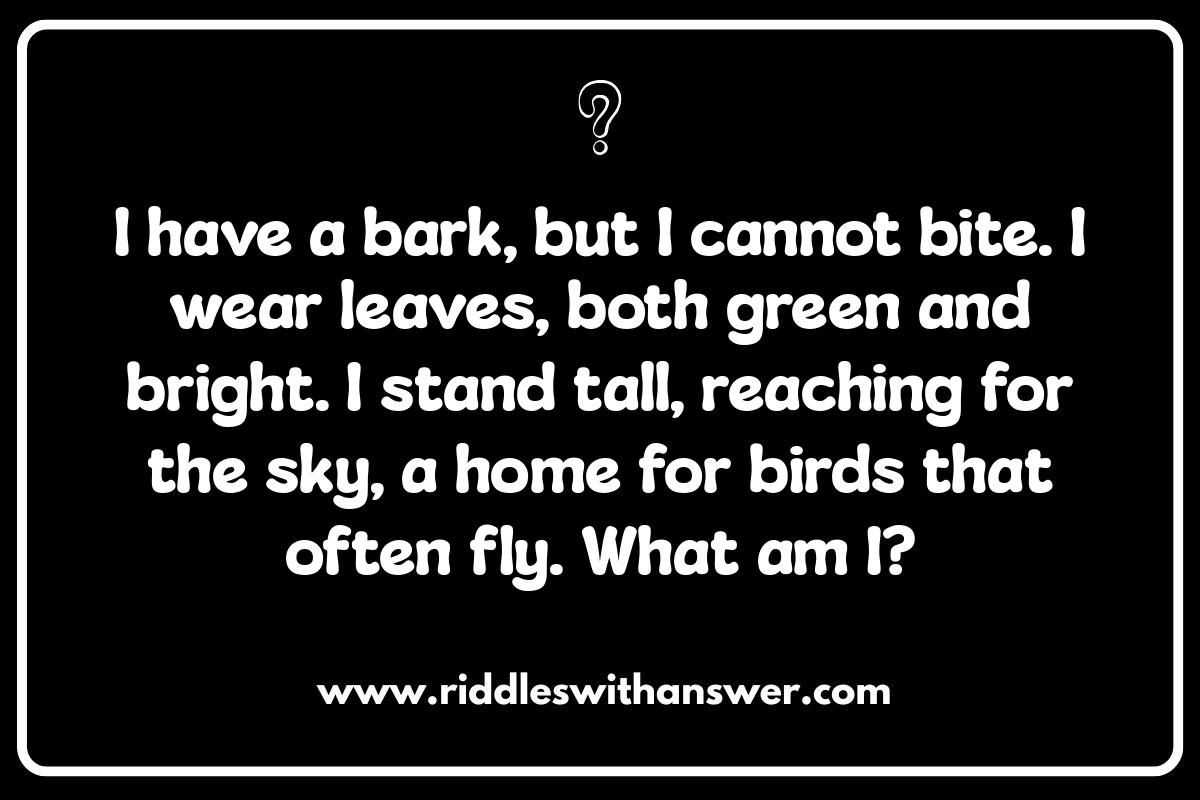 Outdoor Treasure Hunt Riddles for Kids: Adventures in Nature