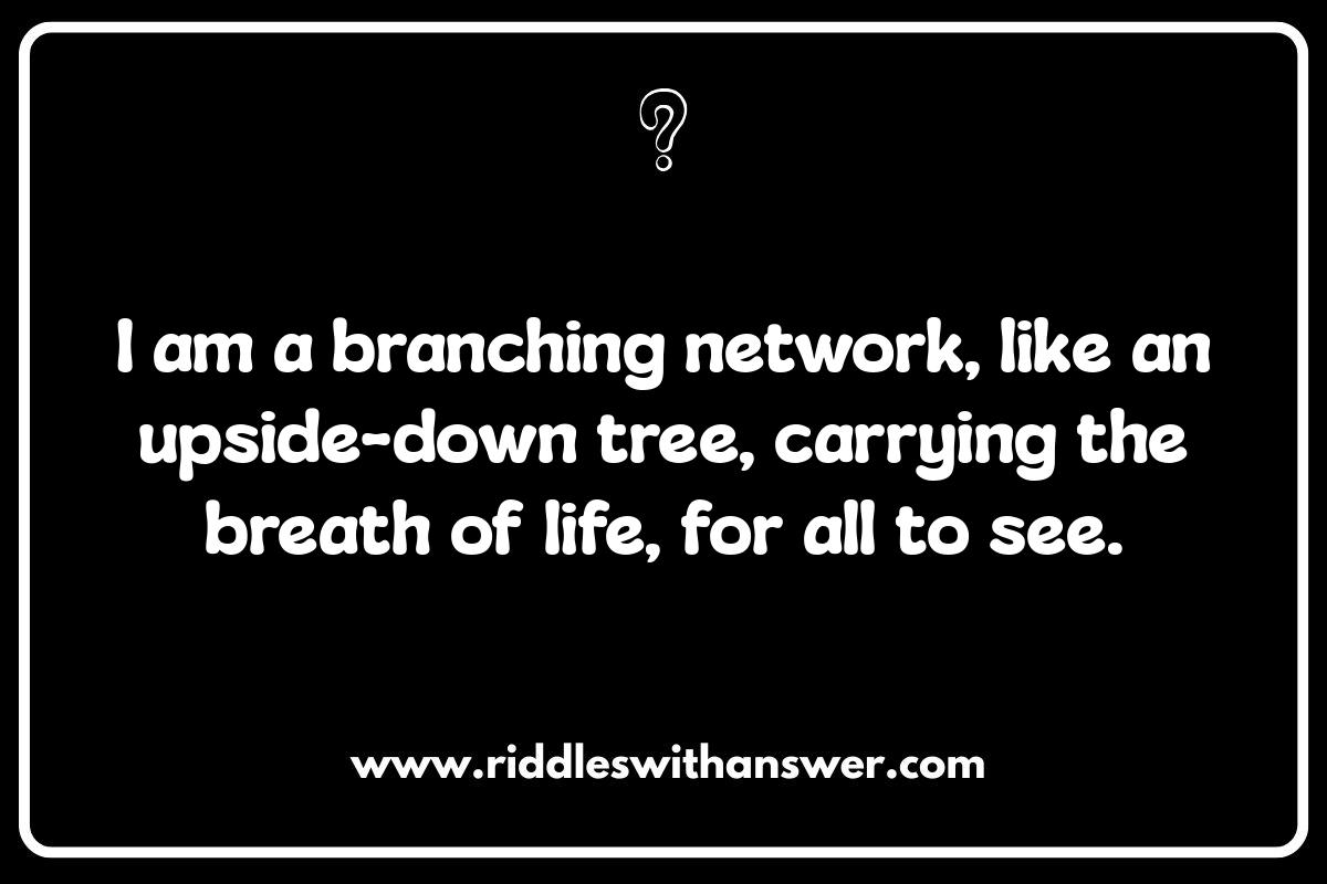 Respiratory System Puzzles: Breathing Life into Anatomy Riddles