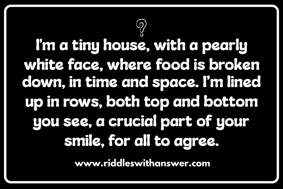 Riddles About Teeth: Enamel and Beyond