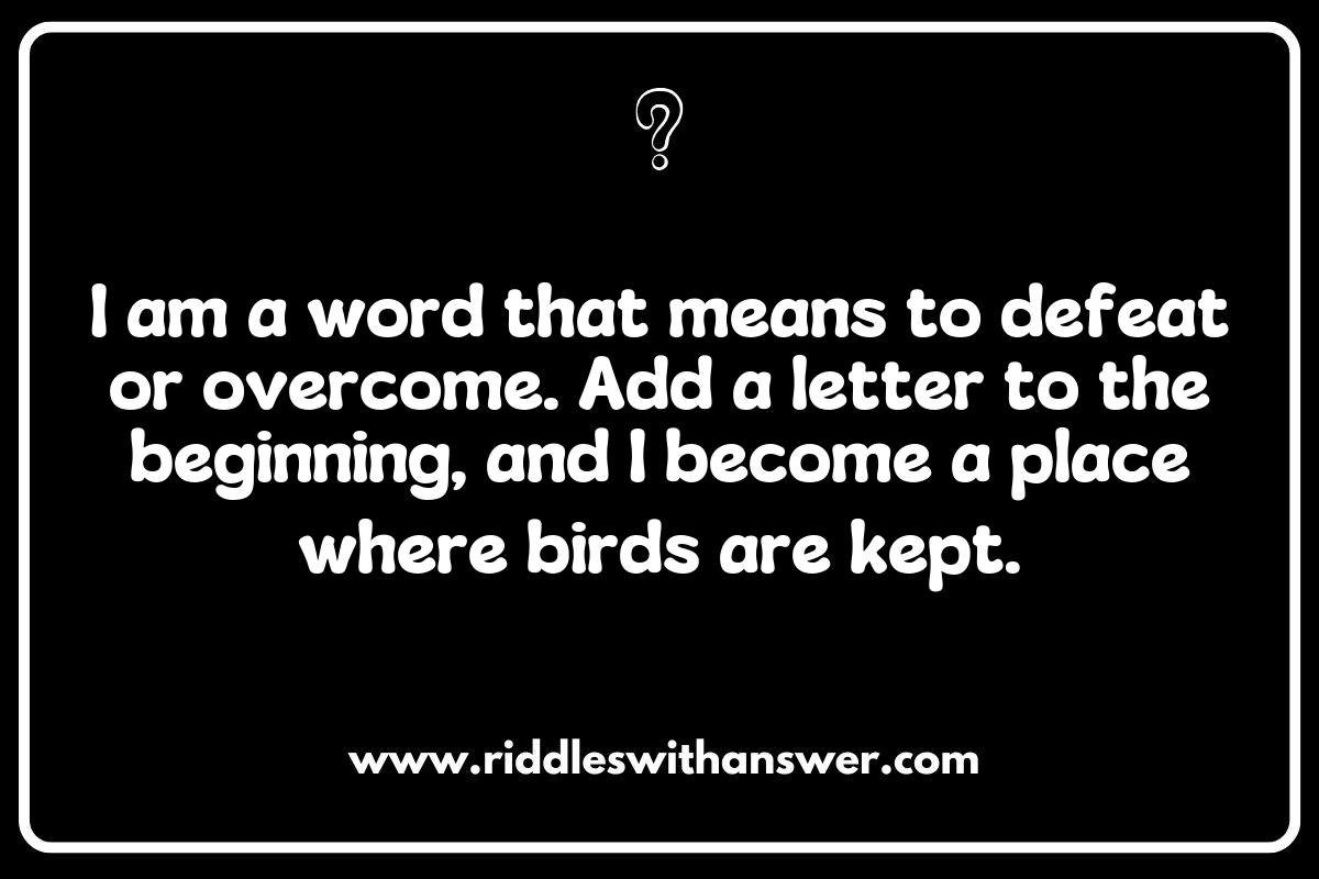 The Ultimate Collection of Guess the Word Riddles for Adult Brains
