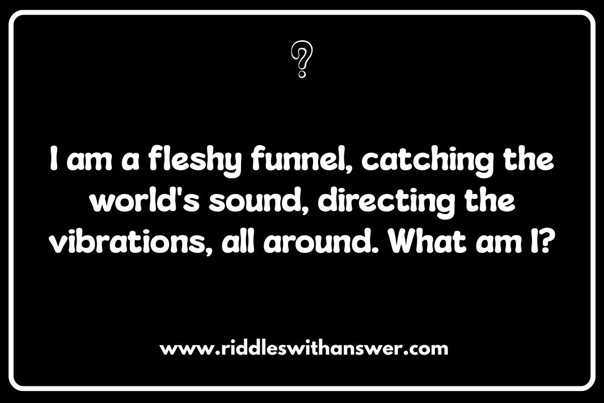 The Ultimate Ear Riddle Collection: From Simple to Complex