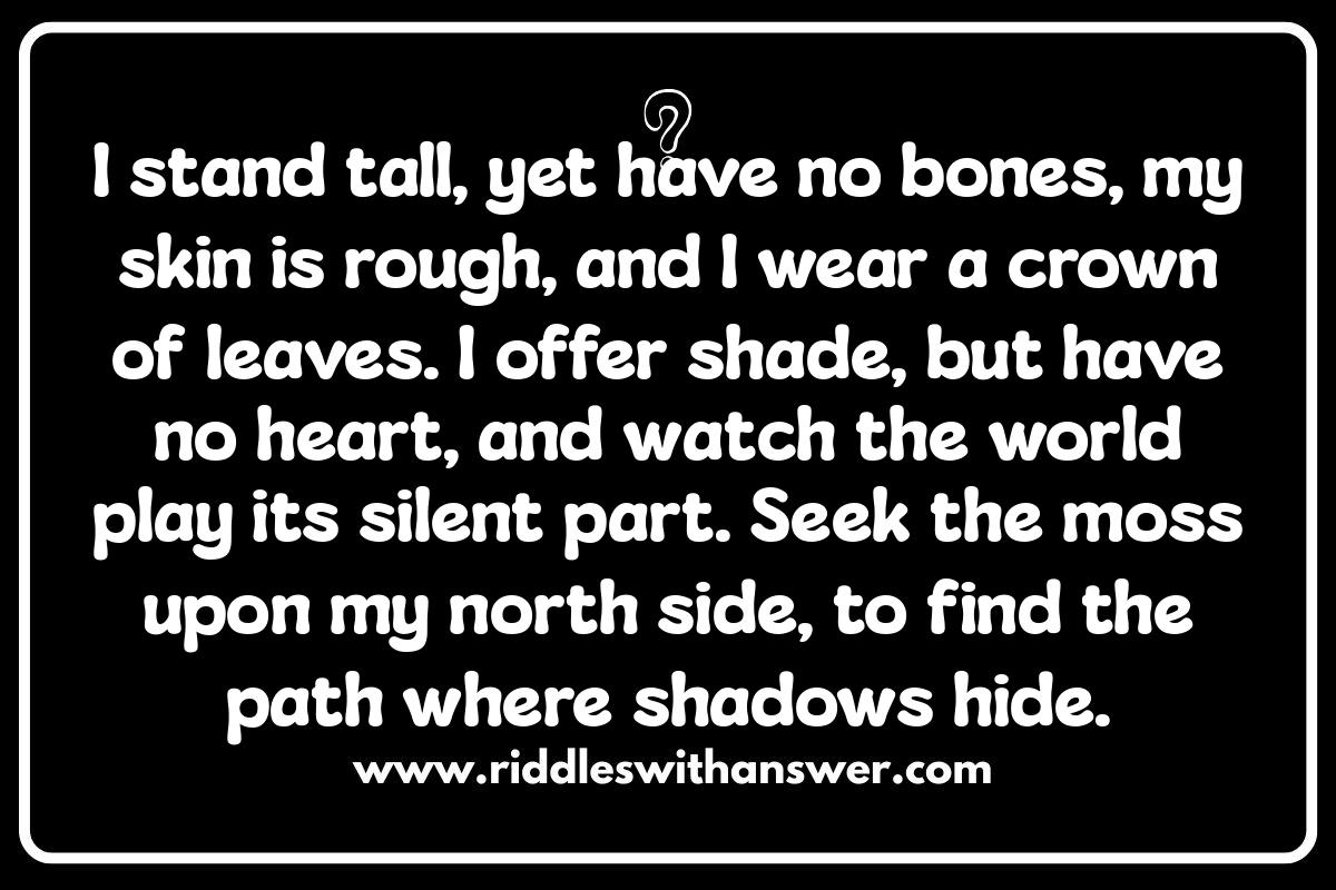 Tips for Running Forest Riddles Successfully