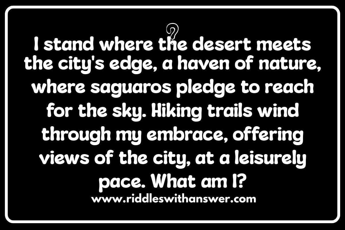 Tucson Riddles: Exploring Desert Mysteries