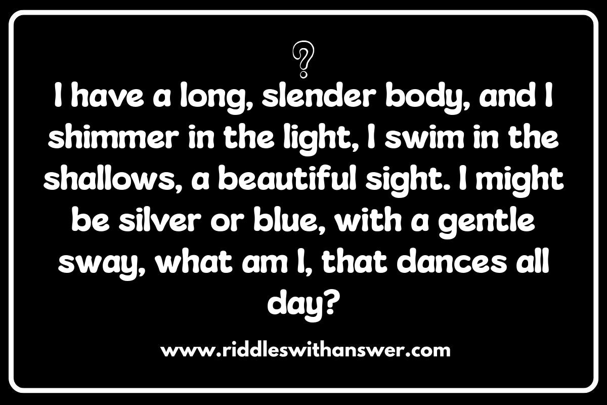 Underwater Riddles: Diving into Clever Clues