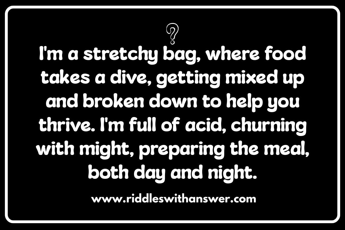 Unraveling the Mysteries: Digestive System Riddles for Kids