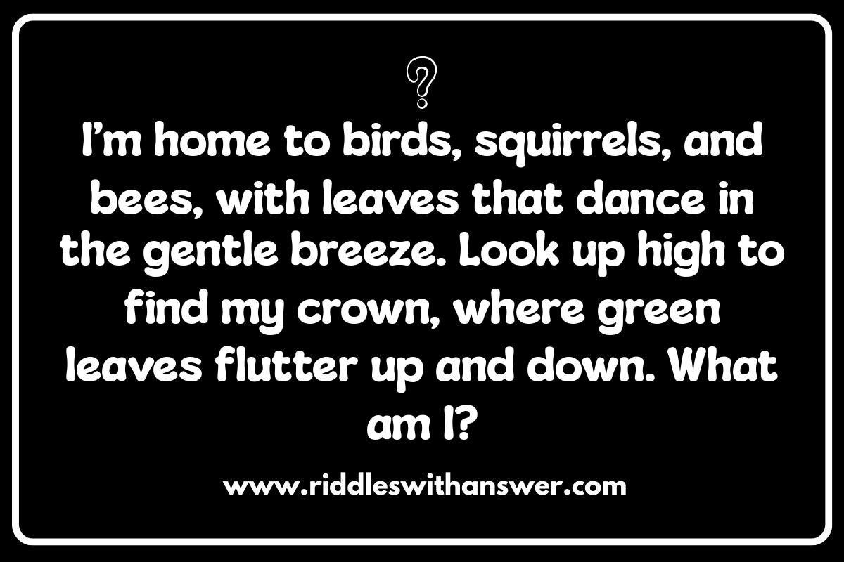 Outdoor Scavenger Hunt Riddles for Kids: Nature Explorations
