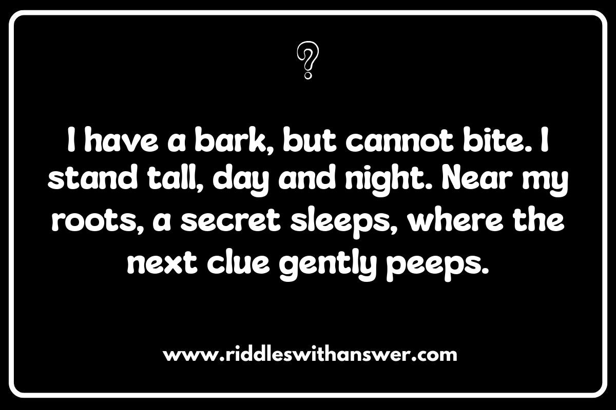 Treasure Hunt Riddles for Kids: Themes and Storylines