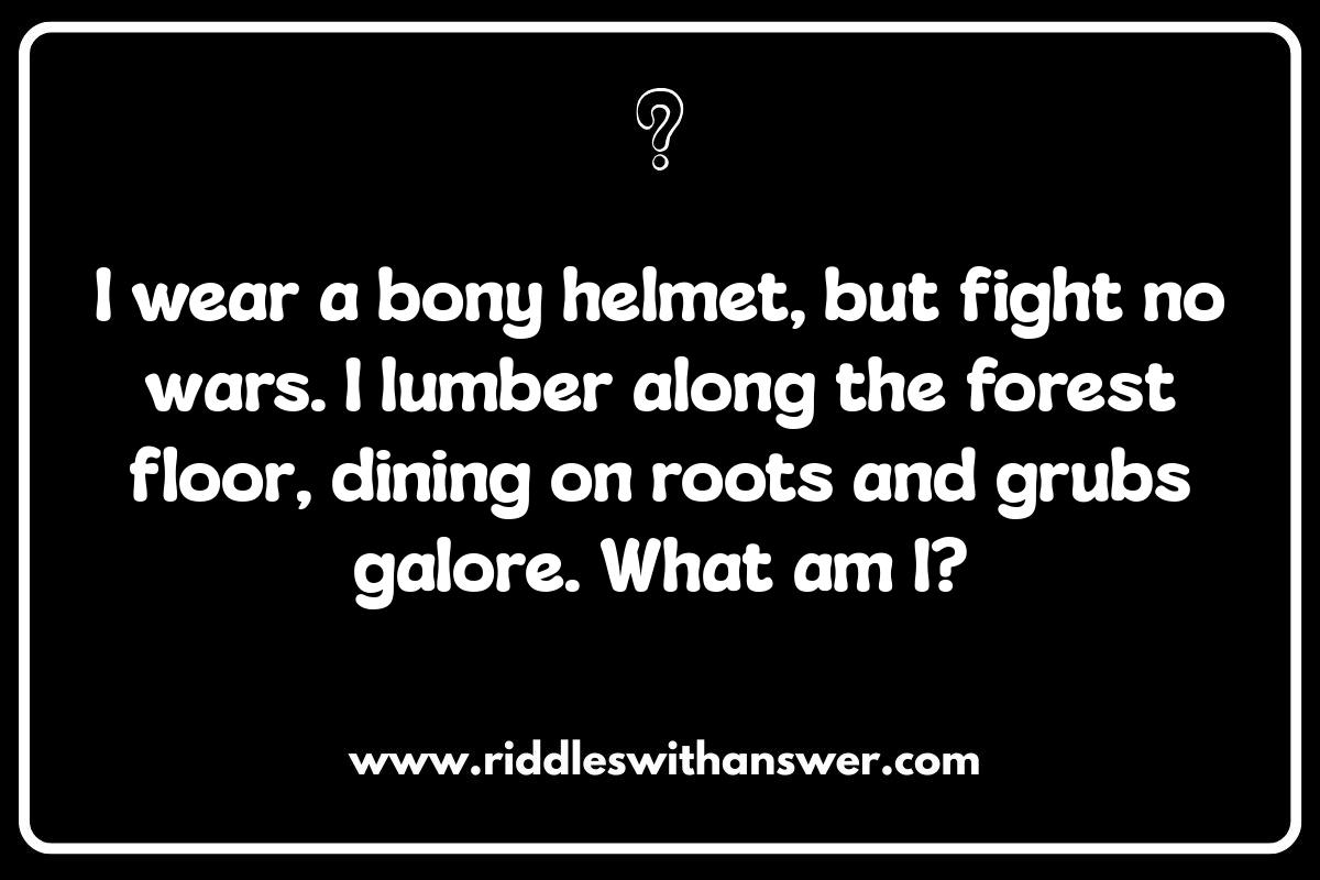 Animal Riddles: Brain Teasers for Animal Lovers