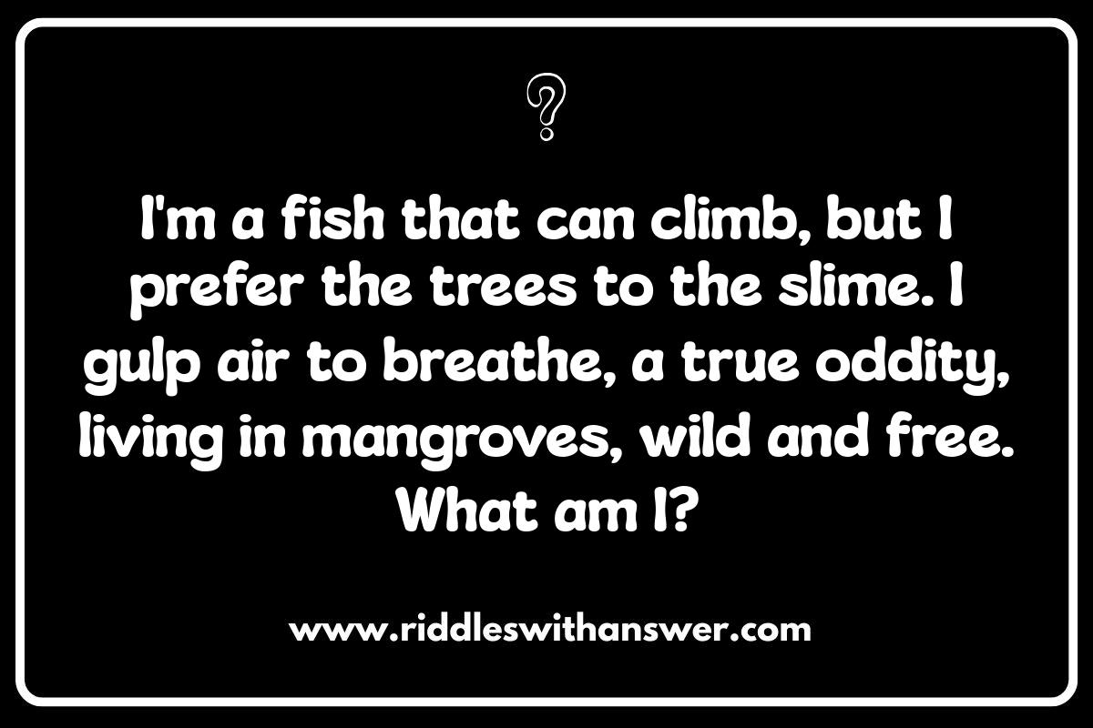 Animal Riddles: Test Your Wits with Furry and Feathered Friends