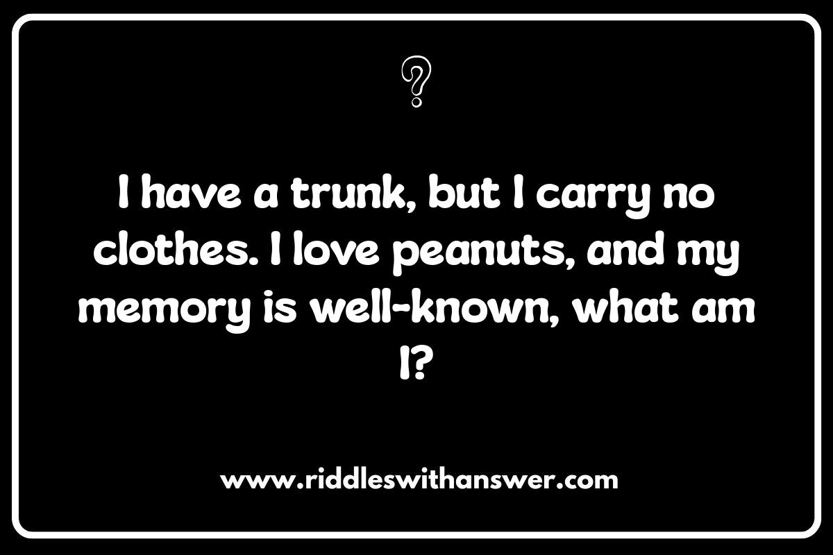 Animal Riddles: Testing Your Wildlife Knowledge